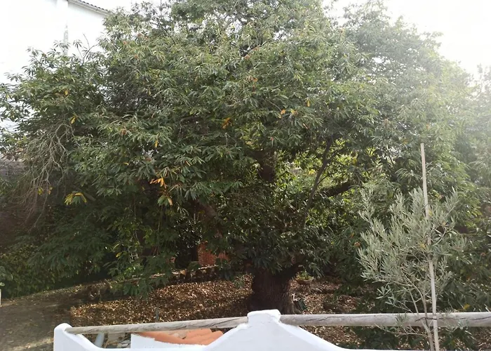 Casa El Comisario Apartament *