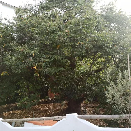 Casa El Comisario アパート *