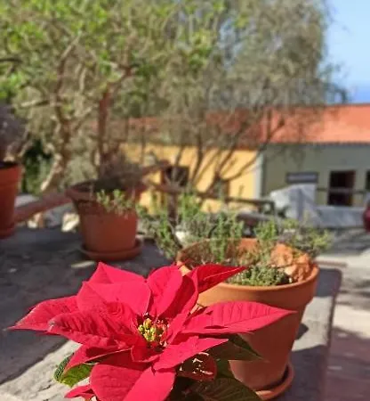 Casa El Comisario * El Tanque