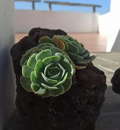 Апартаменты Casa El Comisario El Tanque