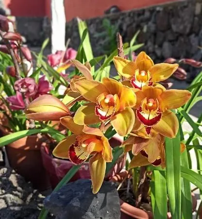 Casa El Comisario アパート