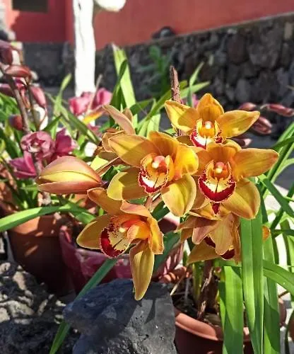 Casa El Comisario Apartman